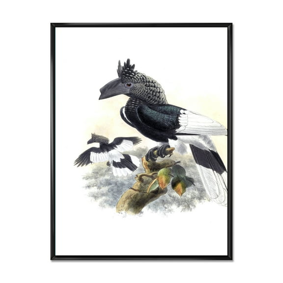 Designart 'Ancient Australian Birds XVI' Traditional Framed Canvas Wall Art Print