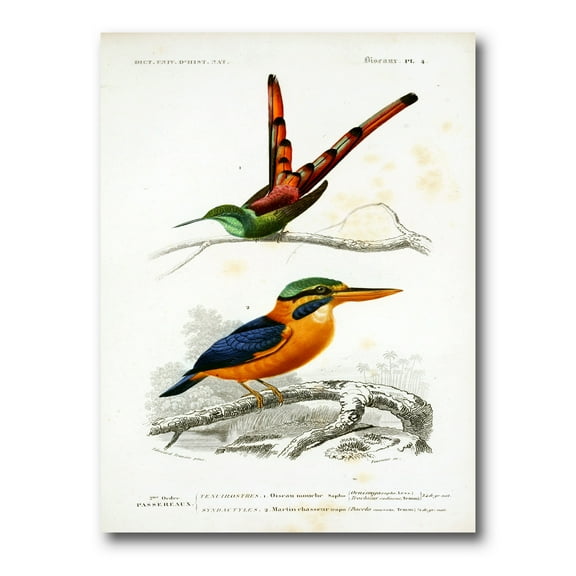 Designart ' Ancient Bird I ' Traditional Canvas Wall Art Print