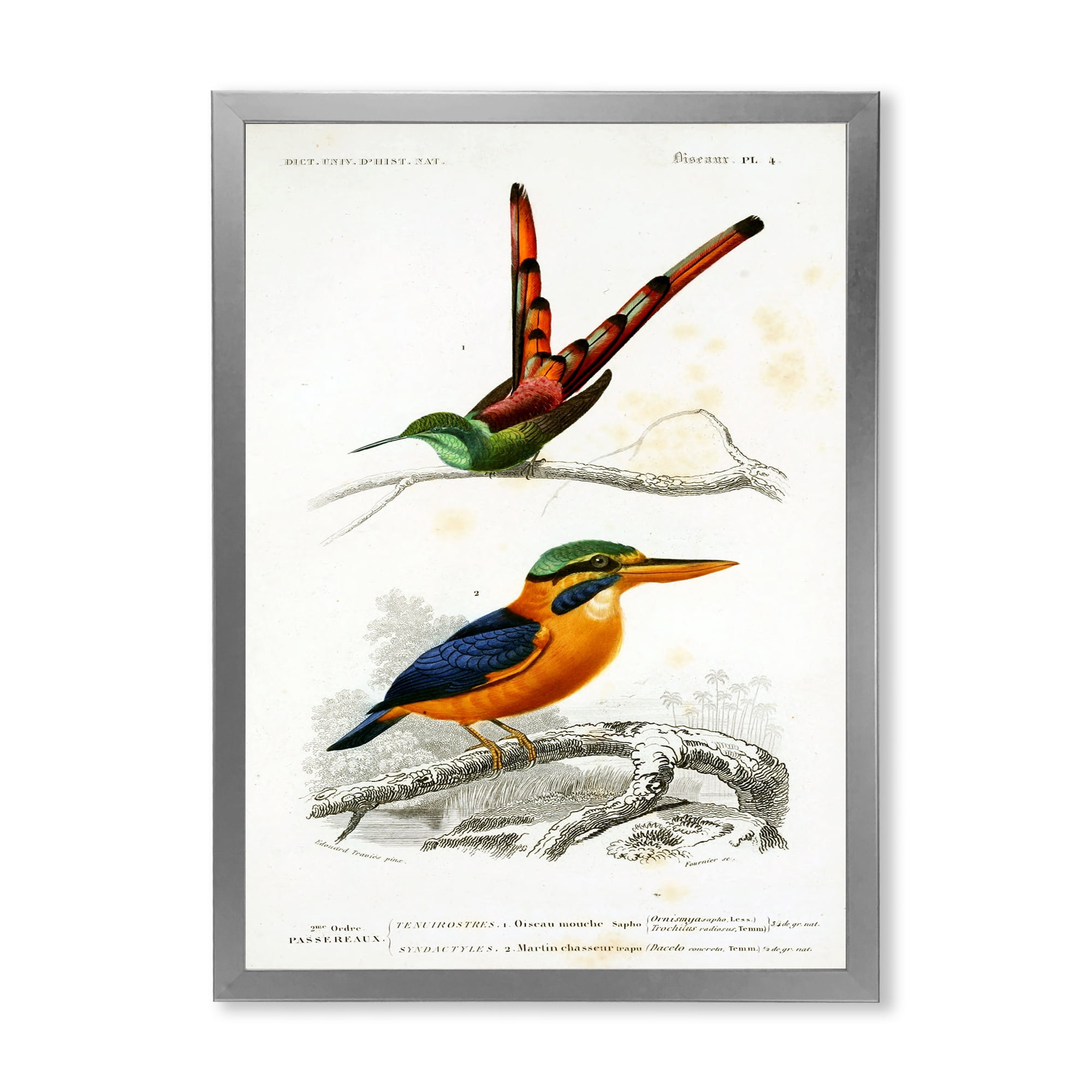 Designart 'Ancient Bird I' Traditional Framed Art Print
