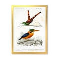 thumbnail image 1 of Designart 'Ancient Bird I' Traditional Framed Art Print, 1 of 4