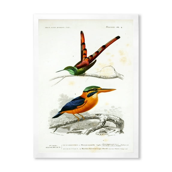 Designart 'Ancient Bird I' Traditional Framed Art Print