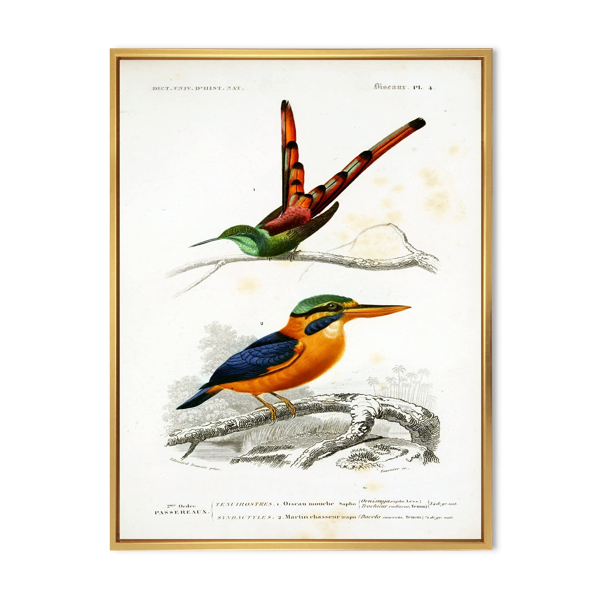 Designart 'Ancient Bird I' Traditional Framed Canvas Wall Art Print