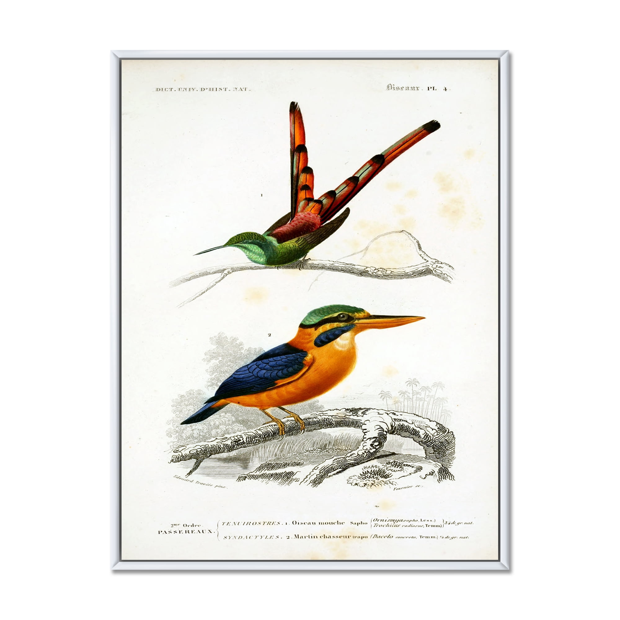 Designart 'Ancient Bird I' Traditional Framed Canvas Wall Art Print