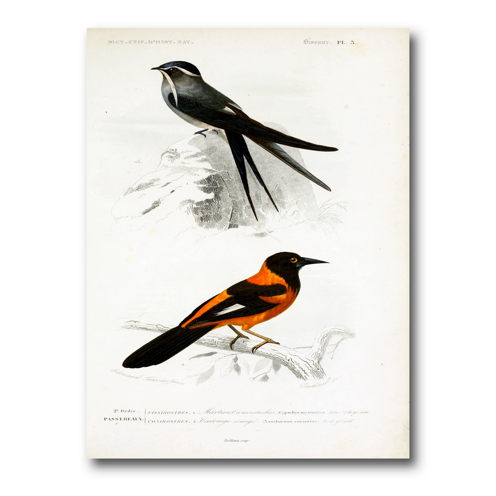 Designart ' Ancient Bird II ' Traditional Canvas Wall Art Print
