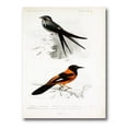 thumbnail image 1 of Designart ' Ancient Bird II ' Traditional Canvas Wall Art Print, 1 of 4