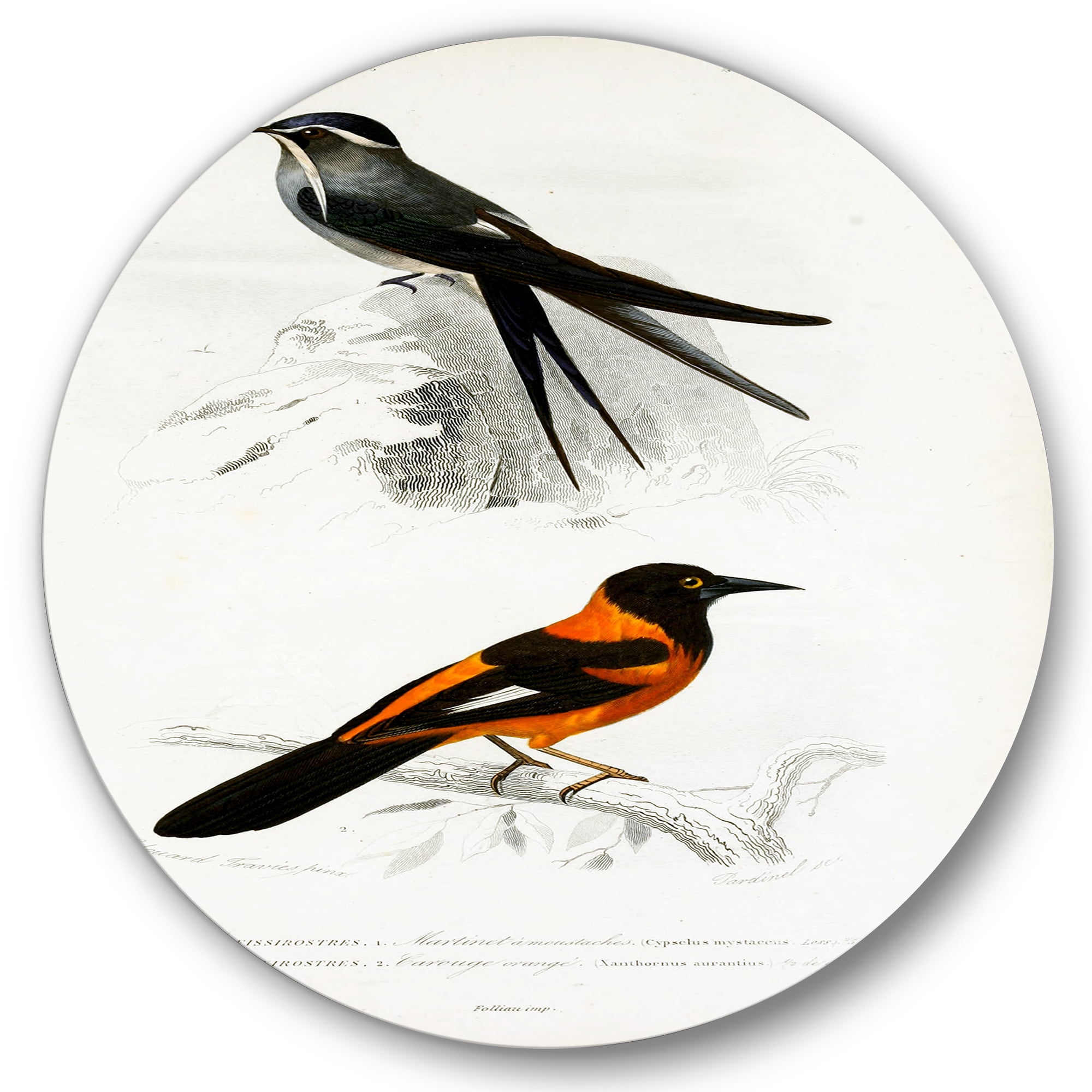 Designart 'Ancient Bird II' Traditional Circle Metal Wall Art 11x11 - Disc of 11