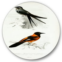 Designart 'Ancient Bird II' Traditional Circle Metal Wall Art 36x36 - Disc of 36