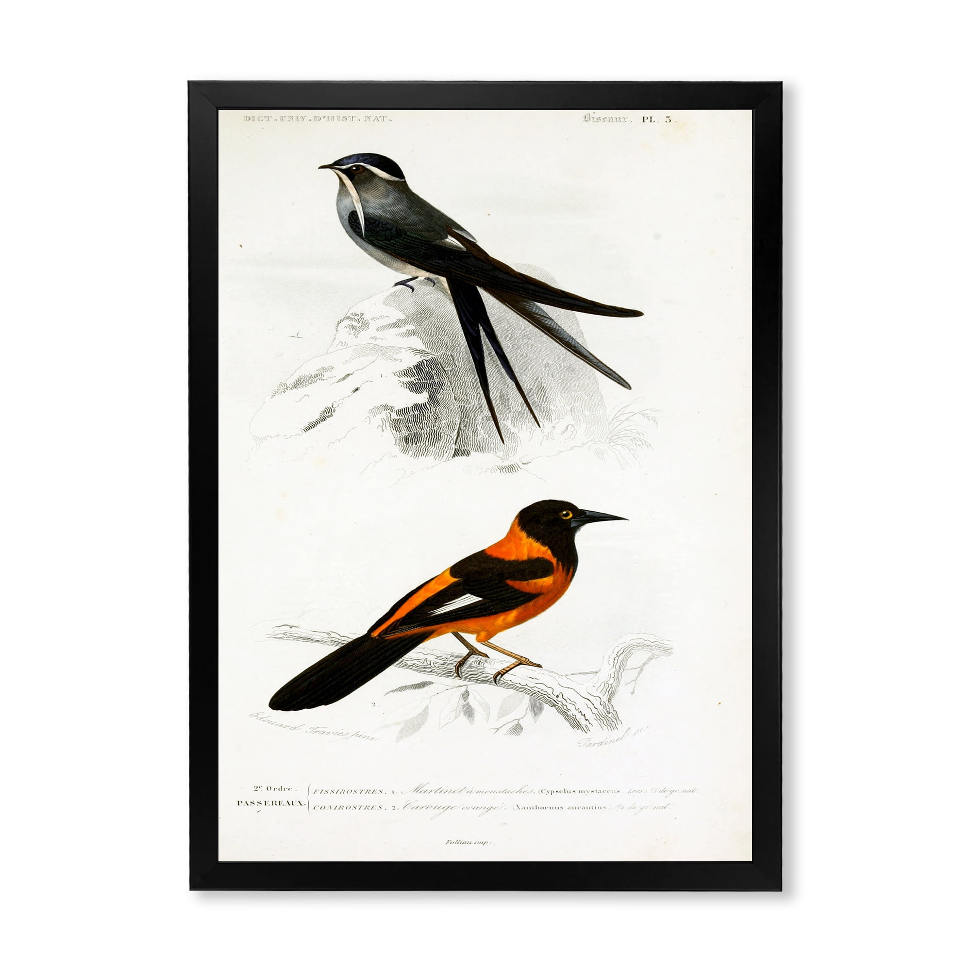 Designart 'Ancient Bird II' Traditional Framed Art Print
