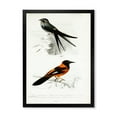 thumbnail image 1 of Designart 'Ancient Bird II' Traditional Framed Art Print, 1 of 4