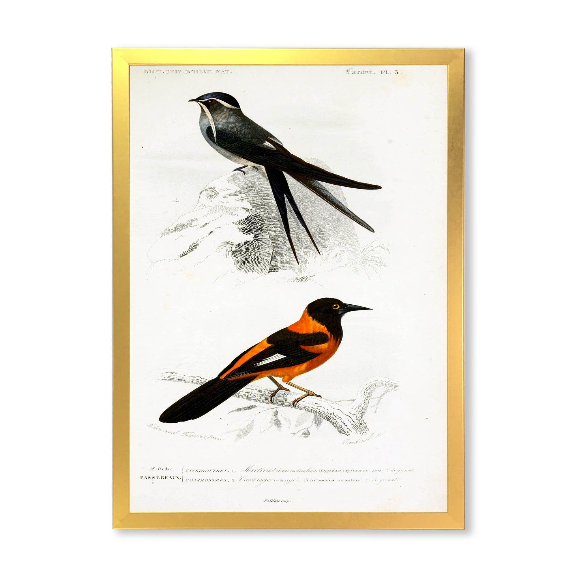 Designart 'Ancient Bird II' Traditional Framed Art Print