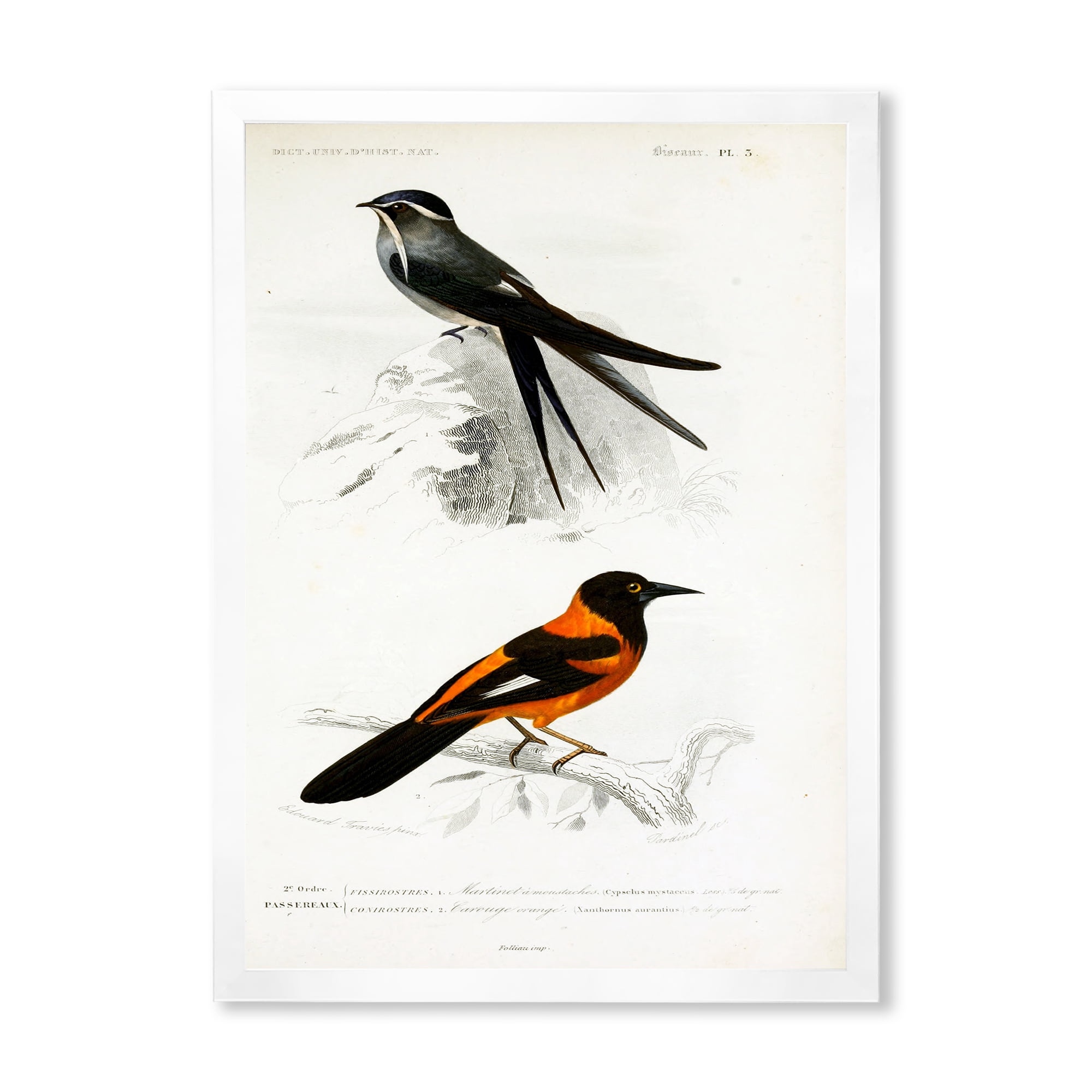Designart 'Ancient Bird II' Traditional Framed Art Print