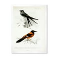 thumbnail image 1 of Designart 'Ancient Bird II' Traditional Framed Art Print, 1 of 4