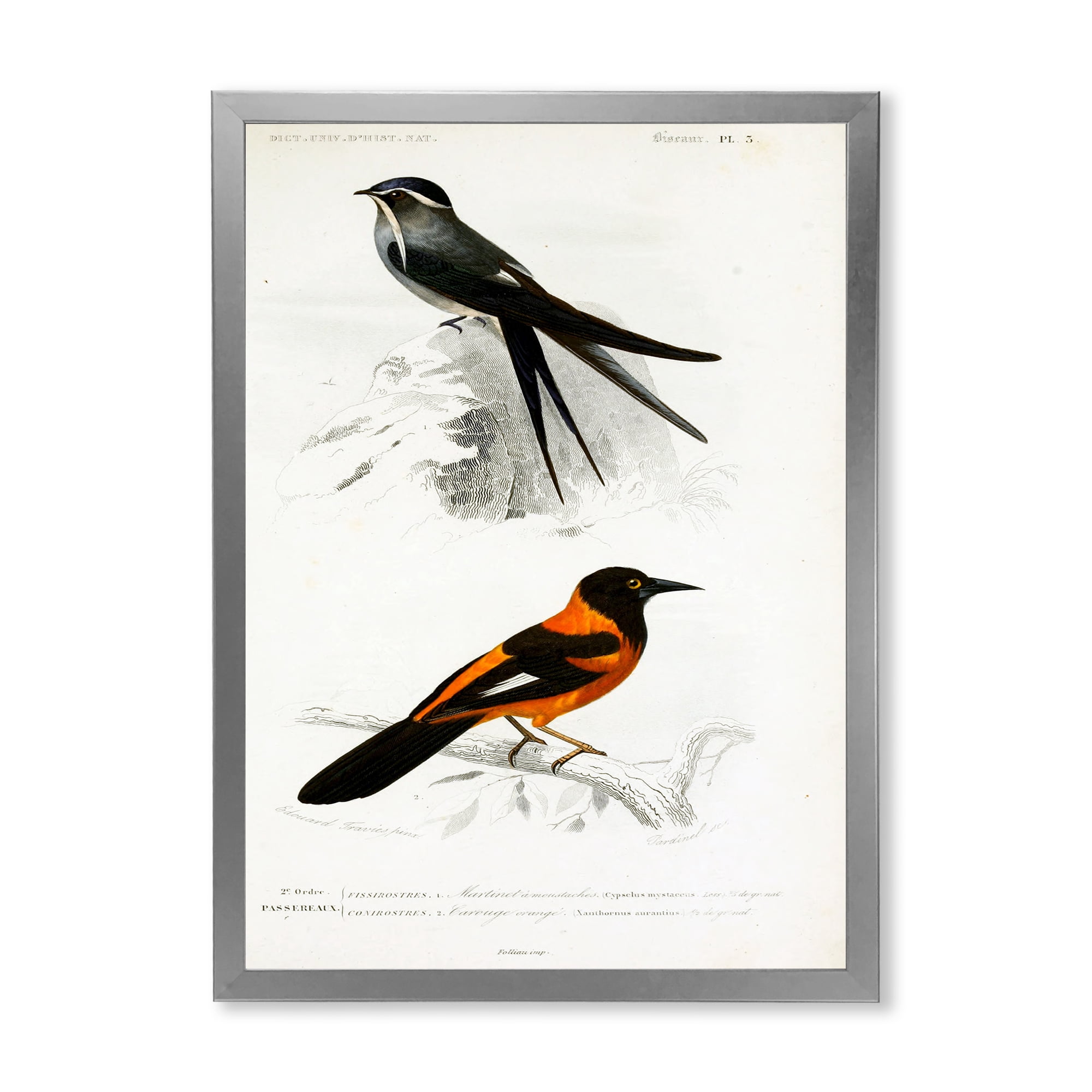 Designart 'Ancient Bird II' Traditional Framed Art Print