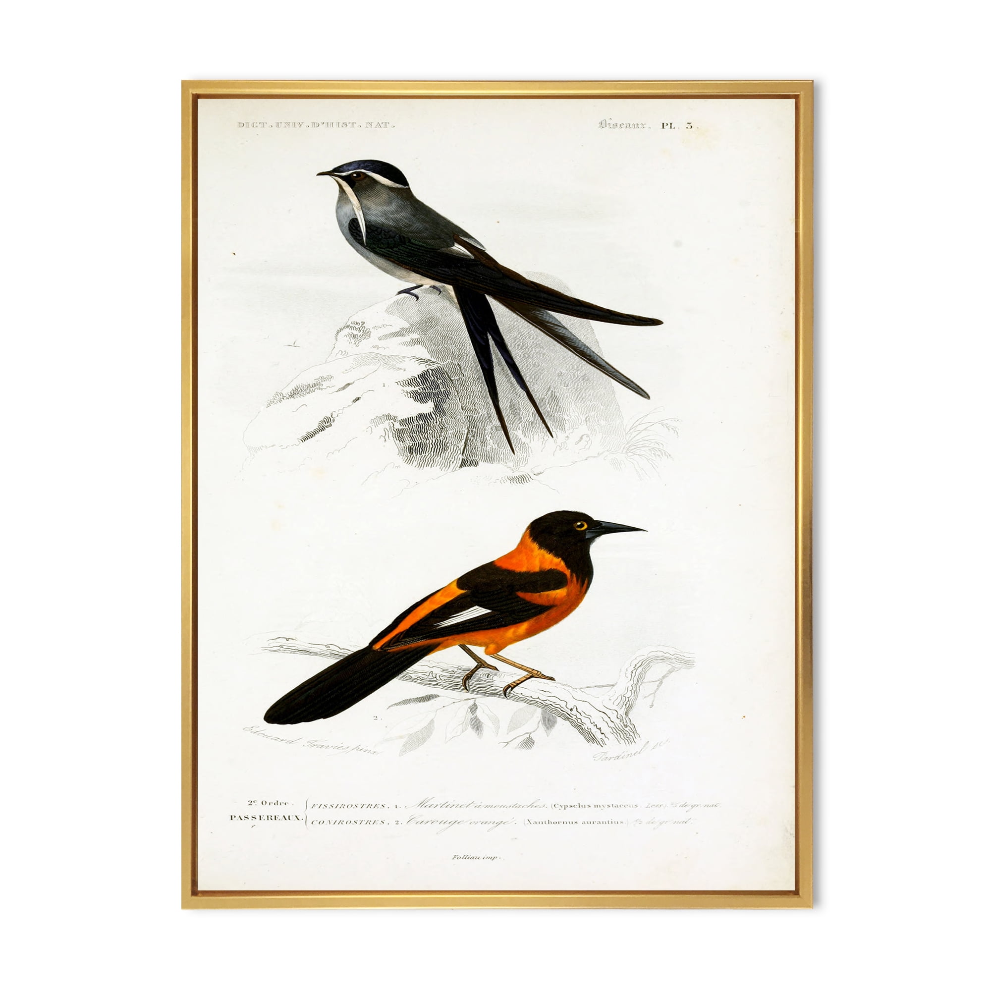 Designart 'Ancient Bird II' Traditional Framed Canvas Wall Art Print