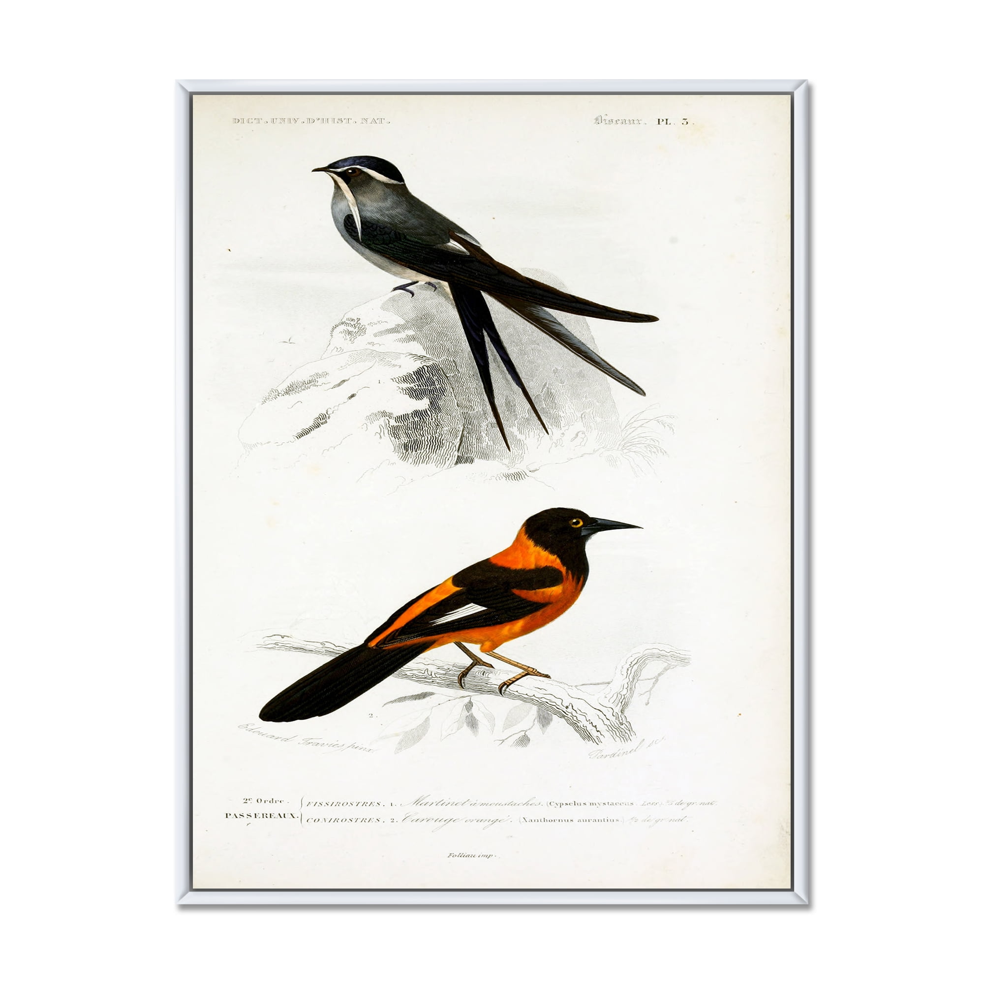Designart 'Ancient Bird II' Traditional Framed Canvas Wall Art Print