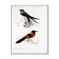 thumbnail image 1 of Designart 'Ancient Bird II' Traditional Framed Canvas Wall Art Print, 1 of 5