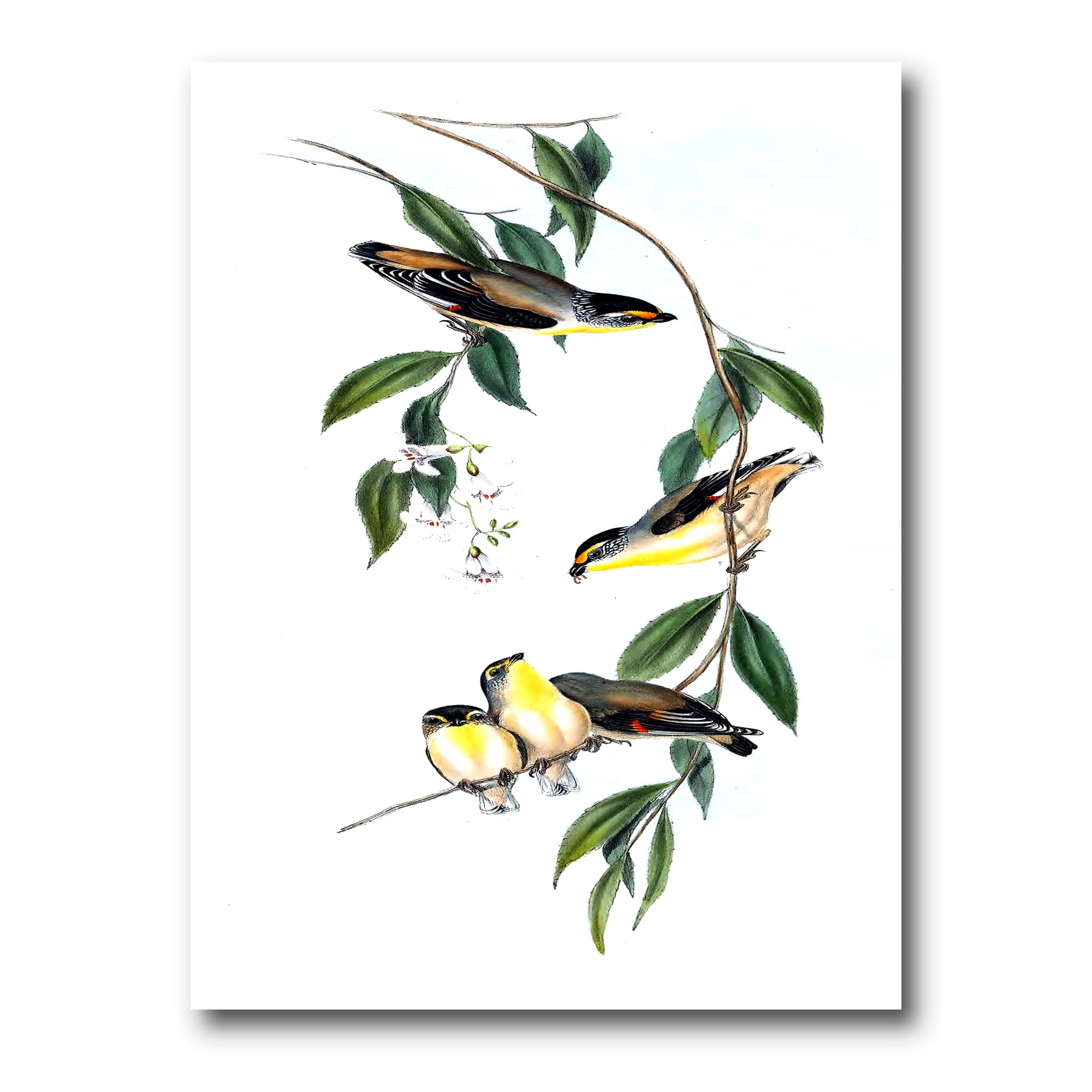 Designart ' Ancient Bird III ' Traditional Canvas Wall Art Print