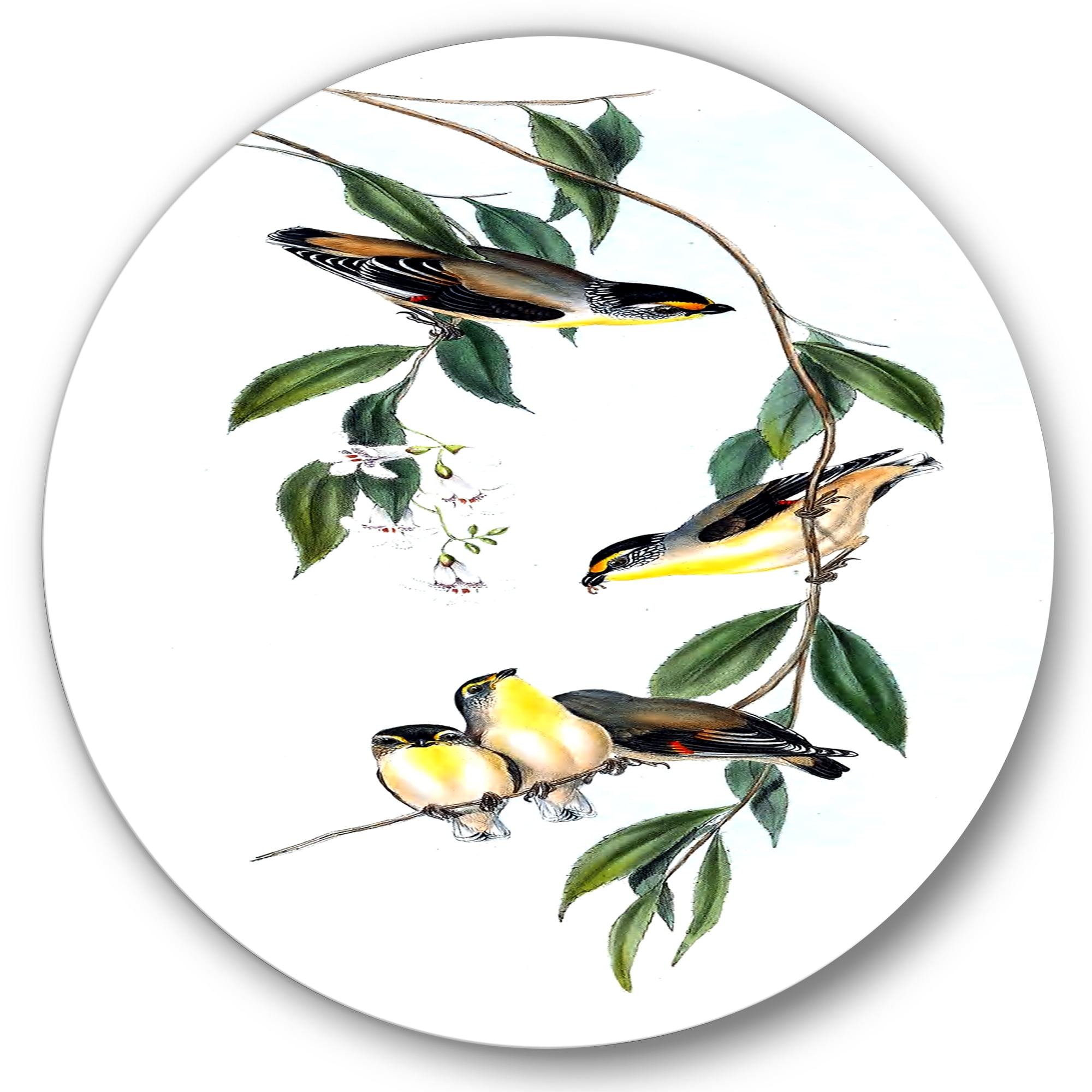 Designart 'Ancient Bird III' Traditional Circle Metal Wall Art 11x11 - Disc of 11