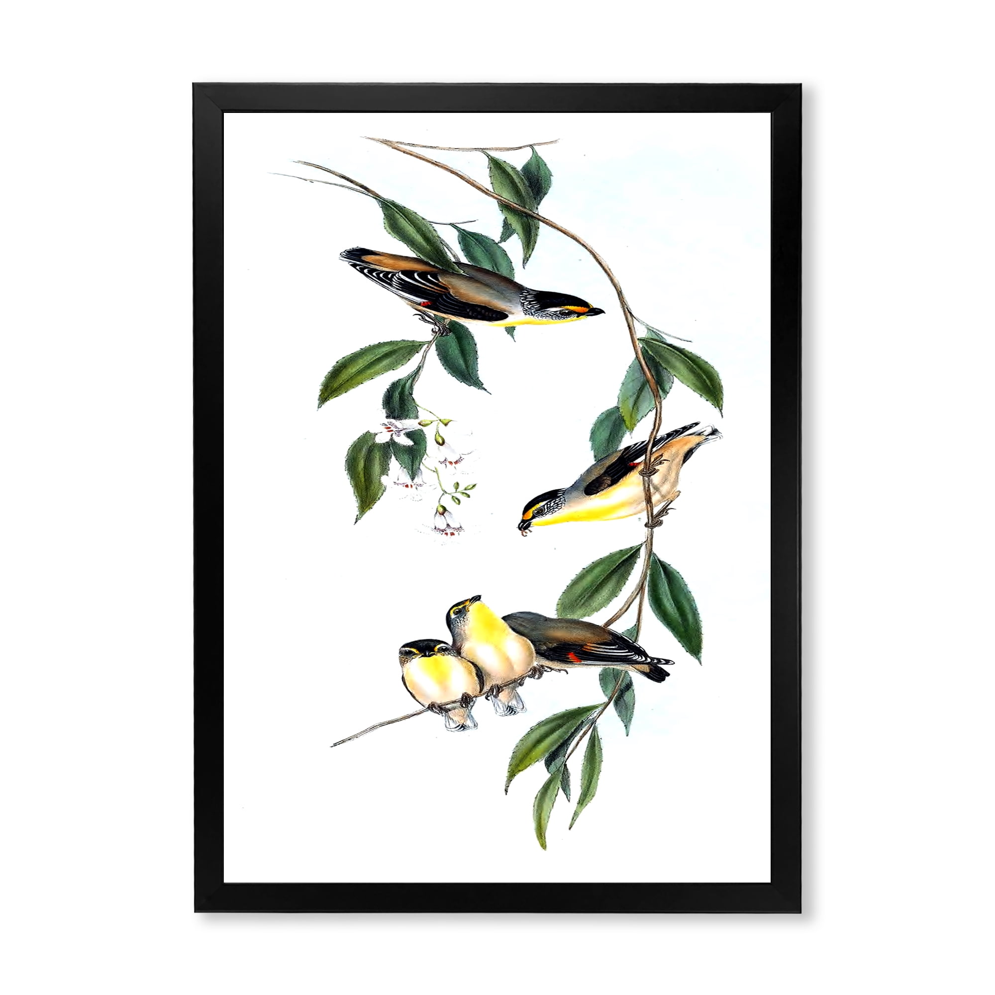 Designart 'Ancient Bird III' Traditional Framed Art Print
