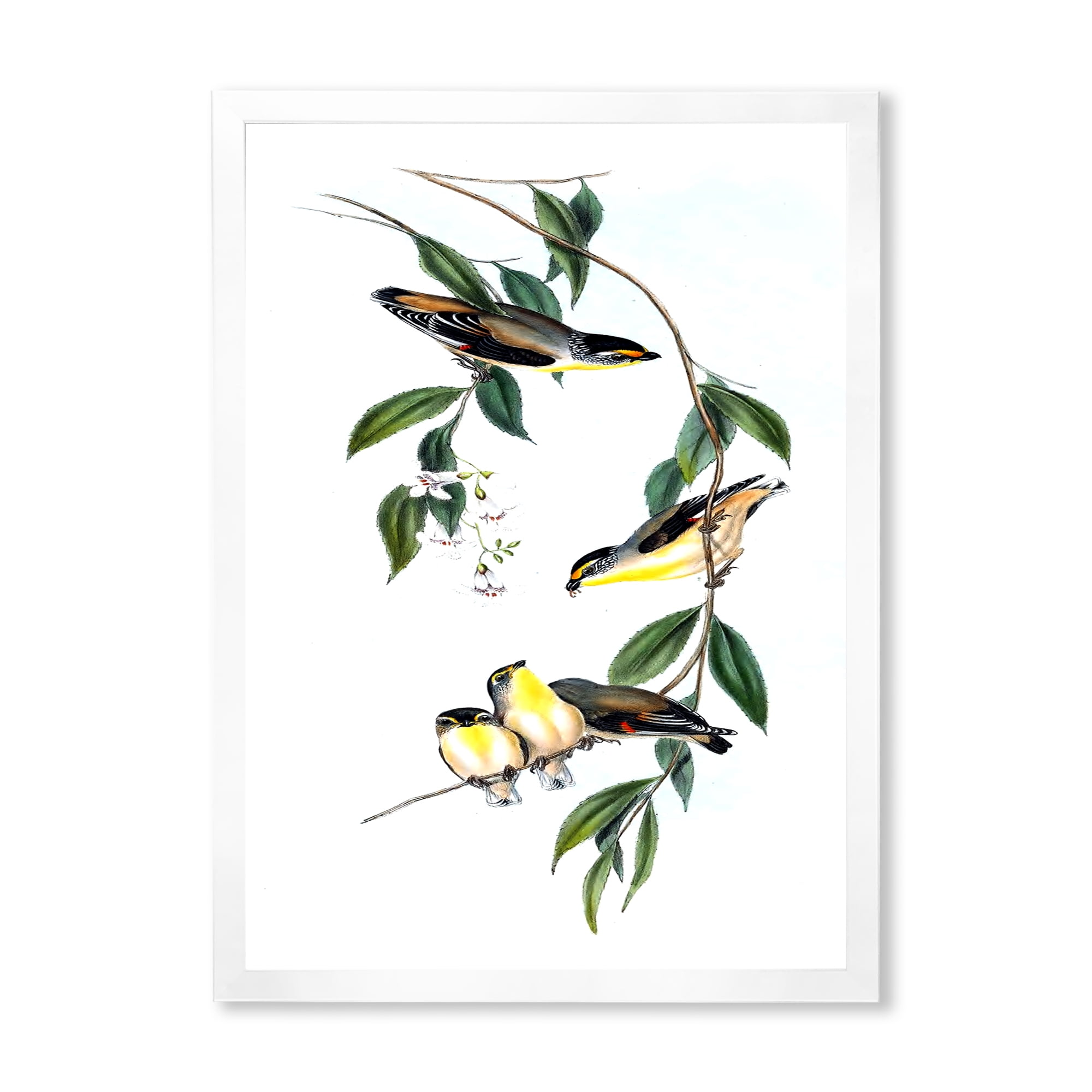 Designart 'Ancient Bird III' Traditional Framed Art Print