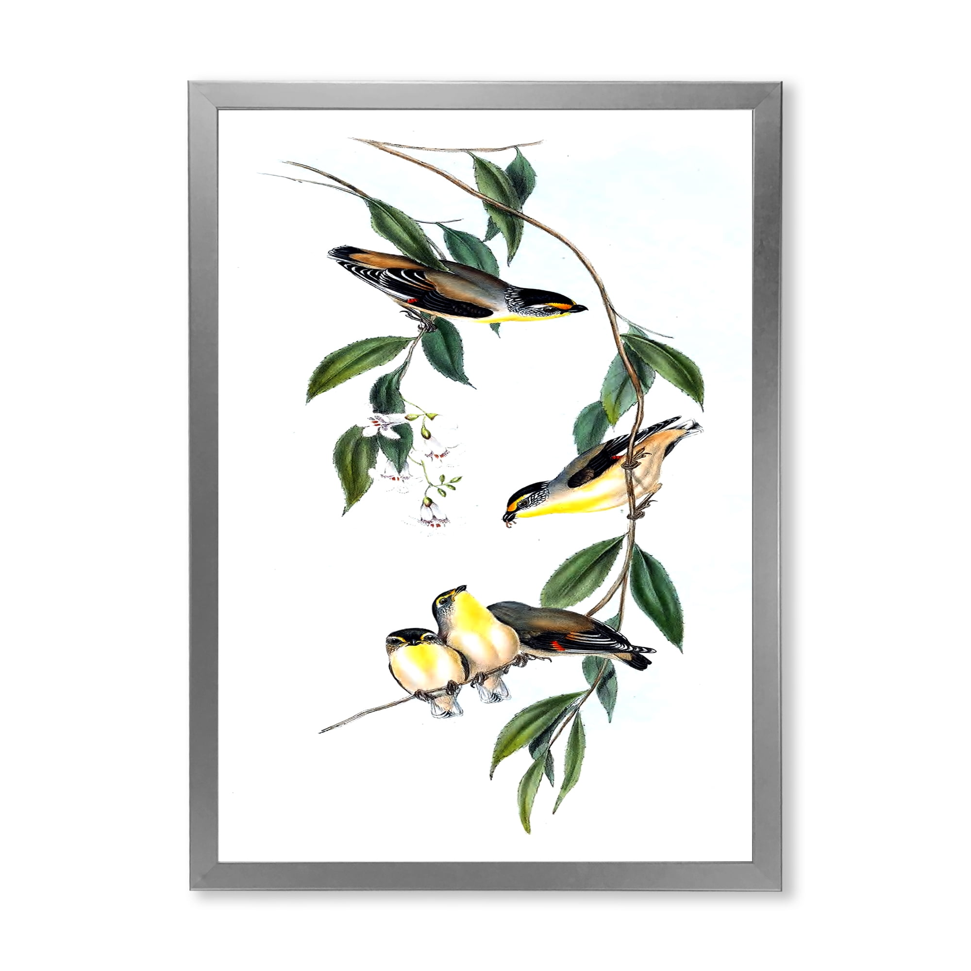 Designart 'Ancient Bird III' Traditional Framed Art Print