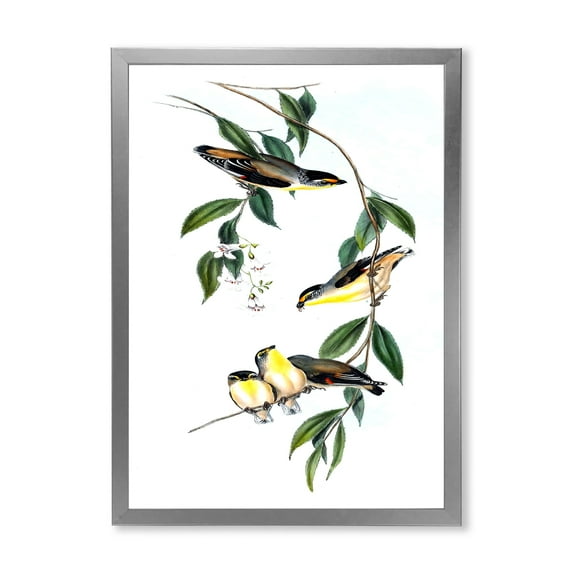 Designart 'Ancient Bird III' Traditional Framed Art Print
