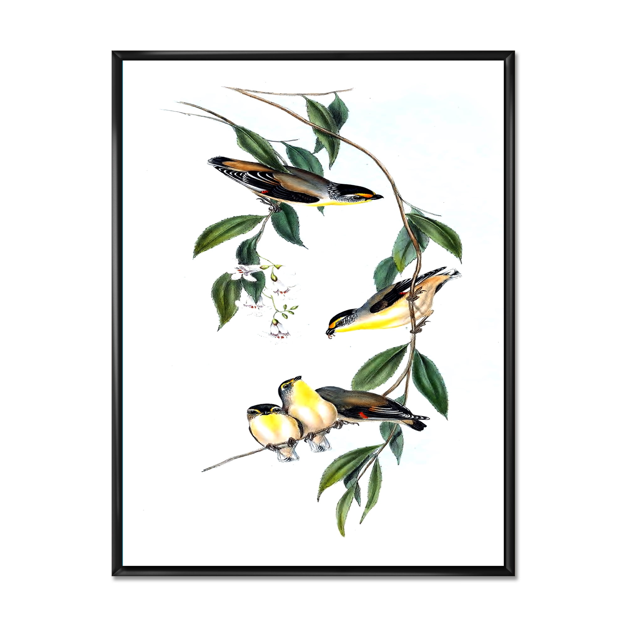 Designart 'Ancient Bird III' Traditional Framed Canvas Wall Art Print