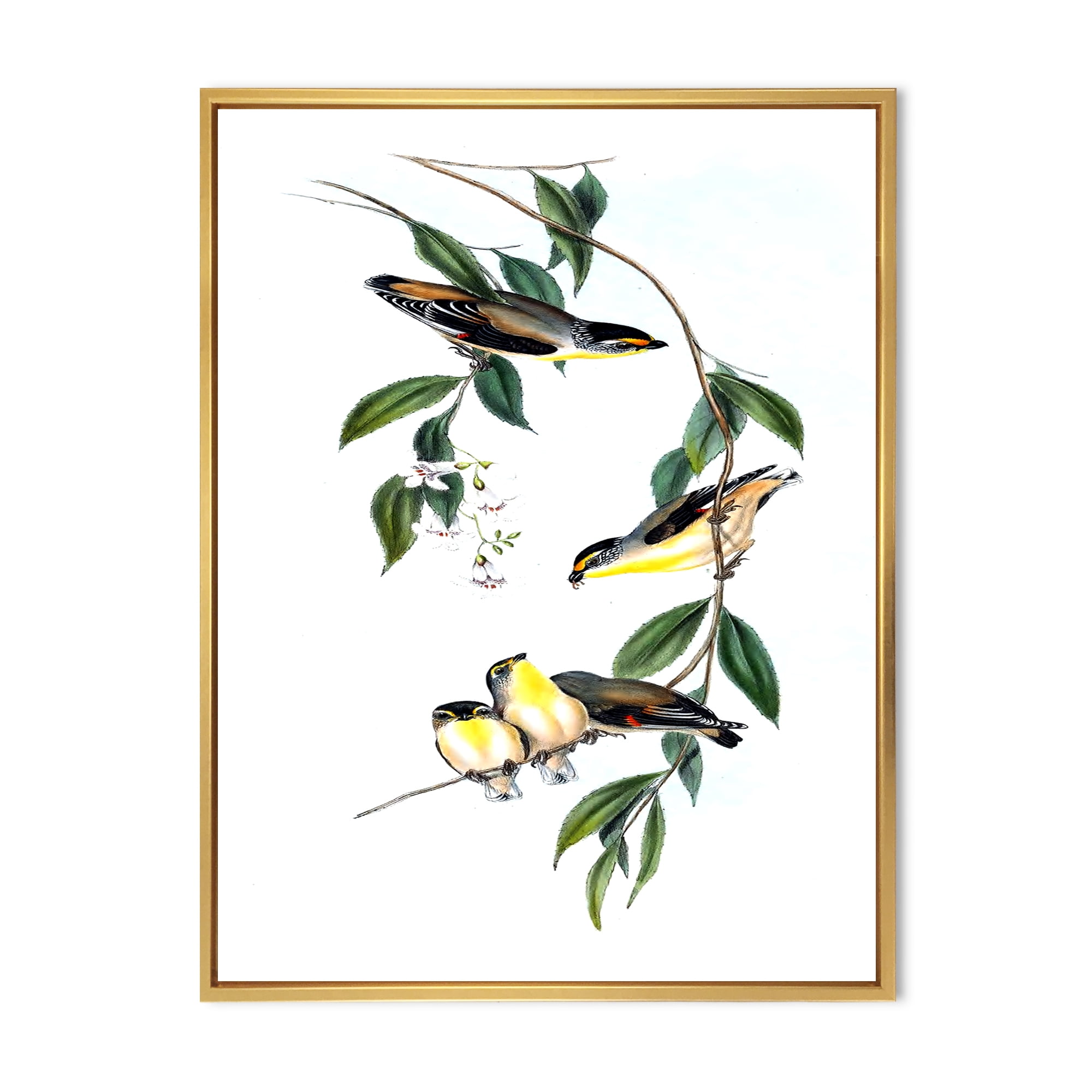 Designart 'Ancient Bird III' Traditional Framed Canvas Wall Art Print