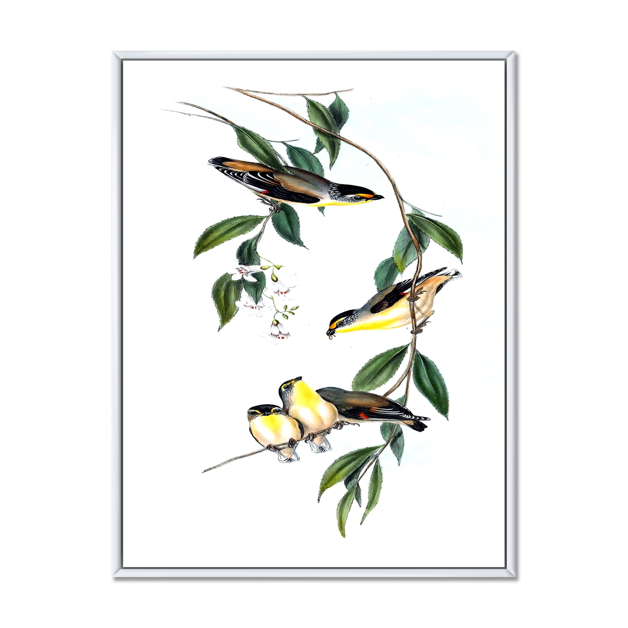 Designart 'Ancient Bird III' Traditional Framed Canvas Wall Art Print
