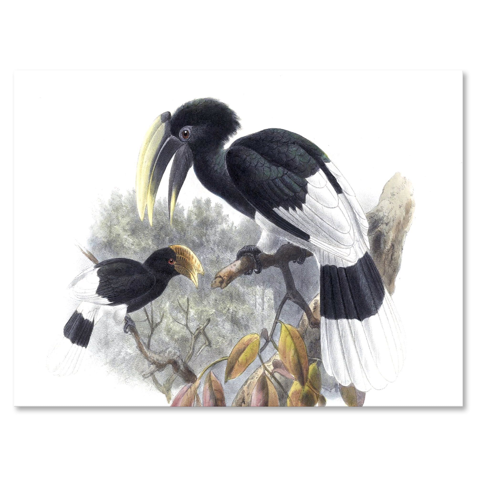 Designart ' Ancient Bird Illustration I ' Traditional Canvas Wall Art Print