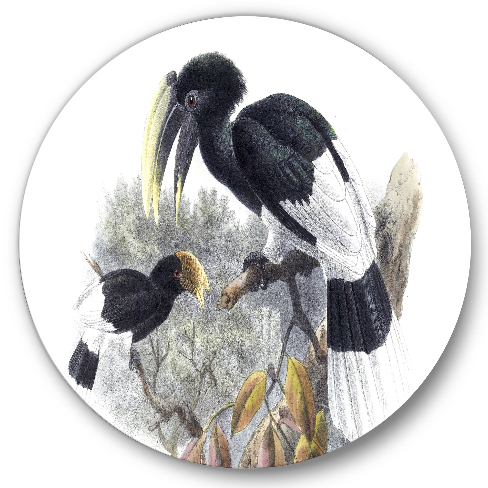Designart 'Ancient Bird Illustration I' Traditional Circle Metal Wall Art 29x29 - Disc of 29