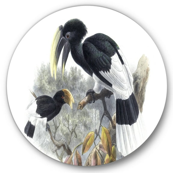 Designart 'Ancient Bird Illustration I' Traditional Circle Metal Wall Art 36x36 - Disc of 36