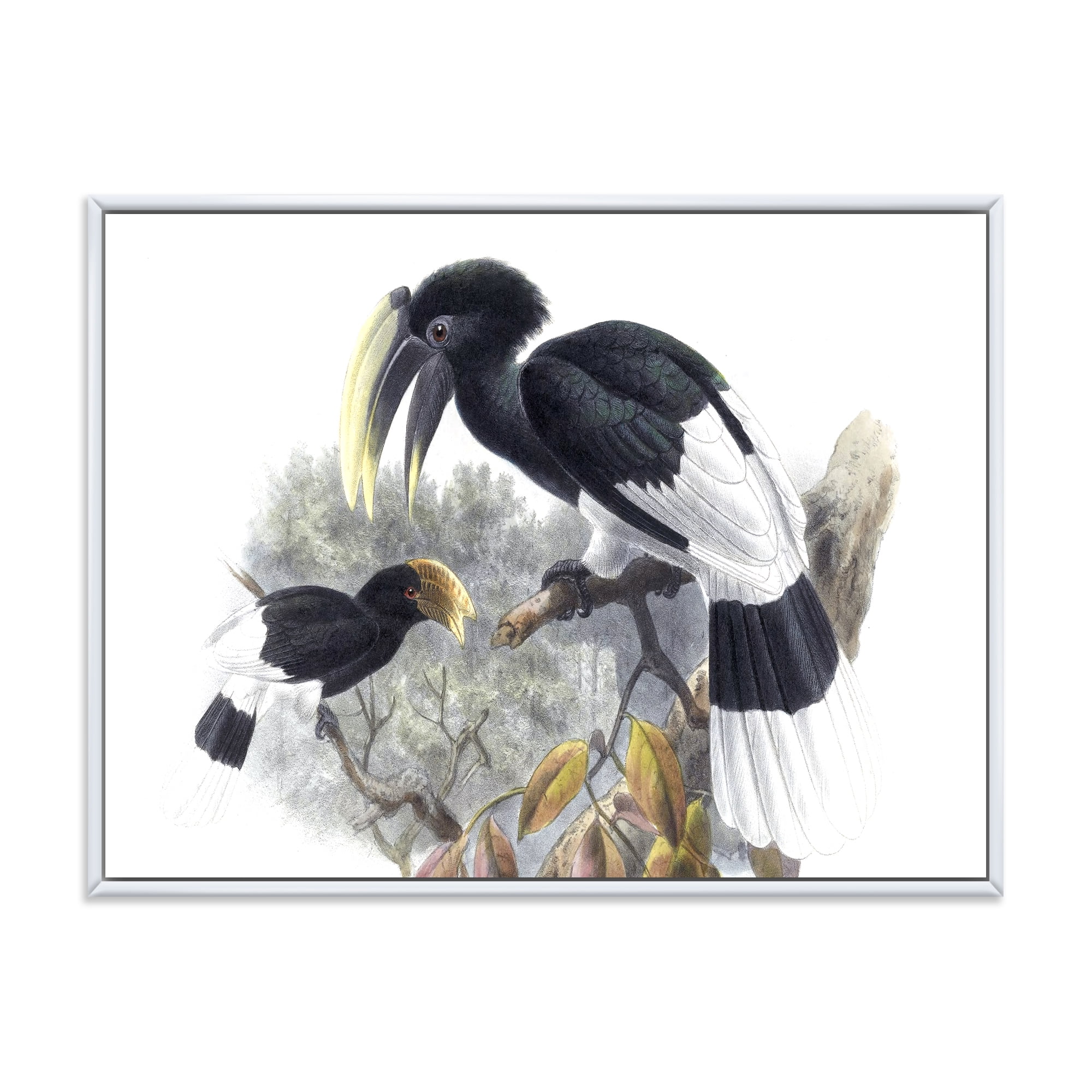 Designart 'Ancient Bird Illustration I' Traditional Framed Canvas Wall Art Print