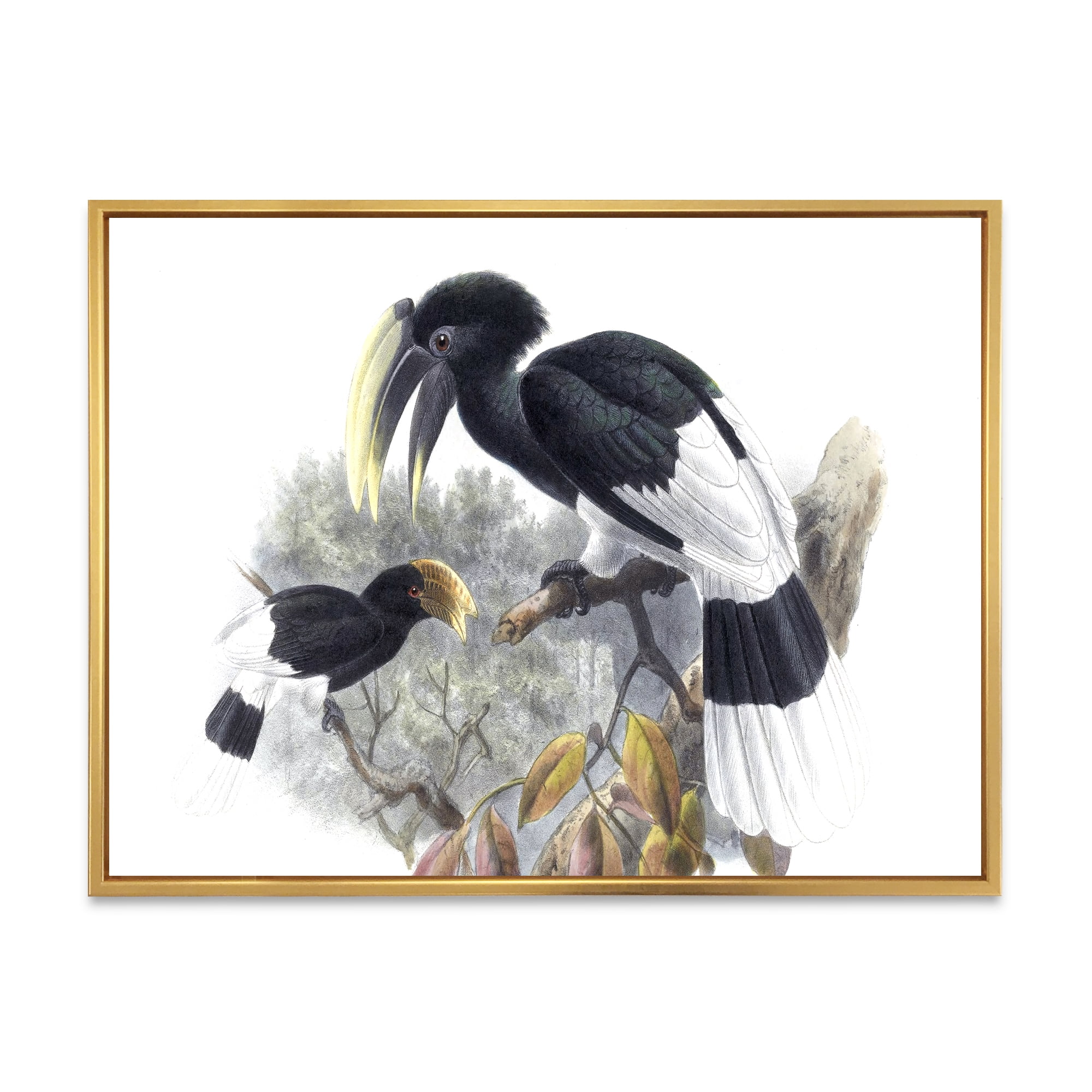 Designart 'Ancient Bird Illustration I' Traditional Framed Canvas Wall Art Print