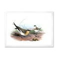thumbnail image 1 of Designart 'Ancient Bird Illustration II' Farmhouse Framed Art Print, 1 of 4