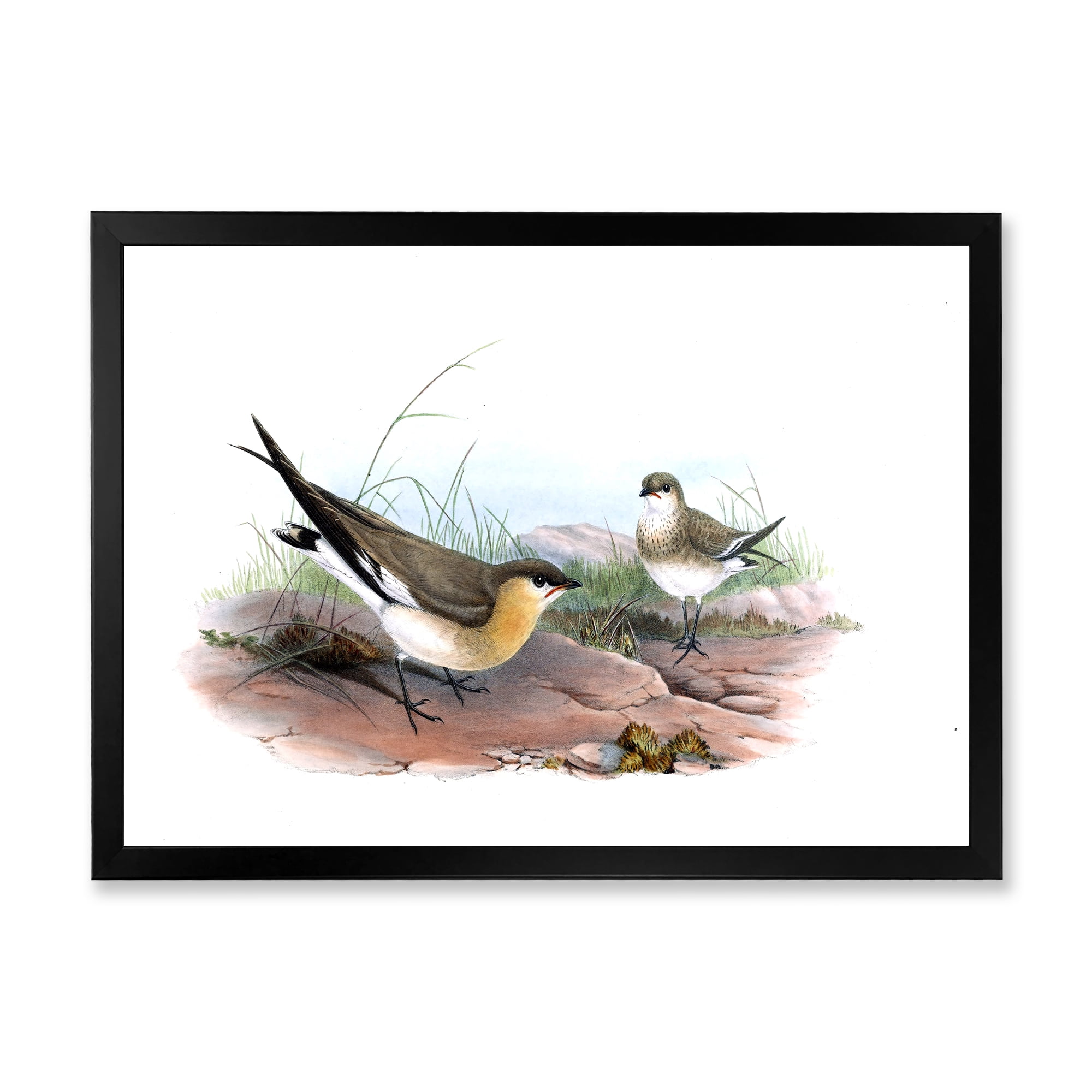 Designart 'Ancient Bird Illustration II' Farmhouse Framed Art Print