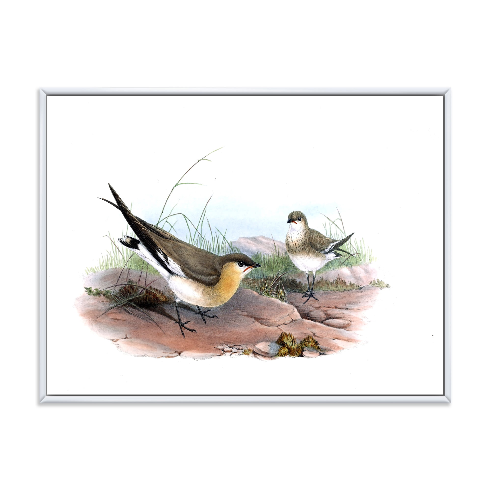 Designart 'Ancient Bird Illustration II' Farmhouse Framed Canvas Wall Art Print