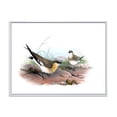 thumbnail image 1 of Designart 'Ancient Bird Illustration II' Farmhouse Framed Canvas Wall Art Print, 1 of 5