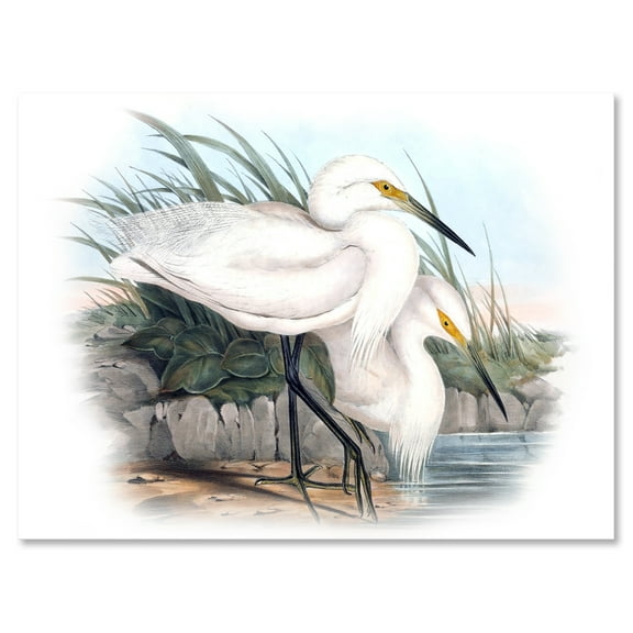 Designart ' Ancient Bird Life I ' Traditional Canvas Wall Art Print