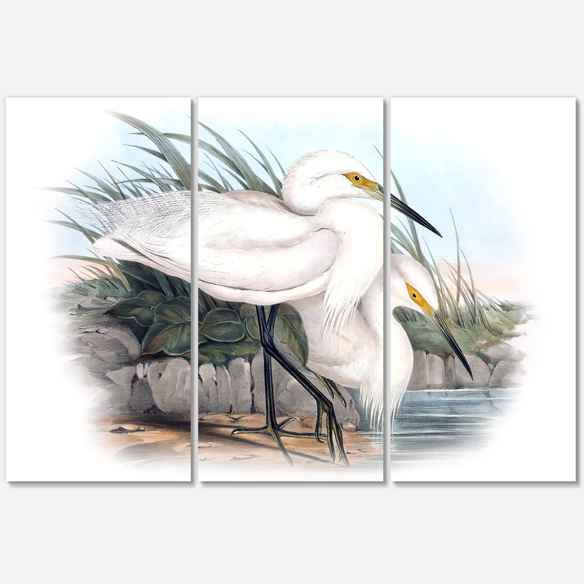 Designart ' Ancient Bird Life I ' Traditional Canvas Wall Art Print