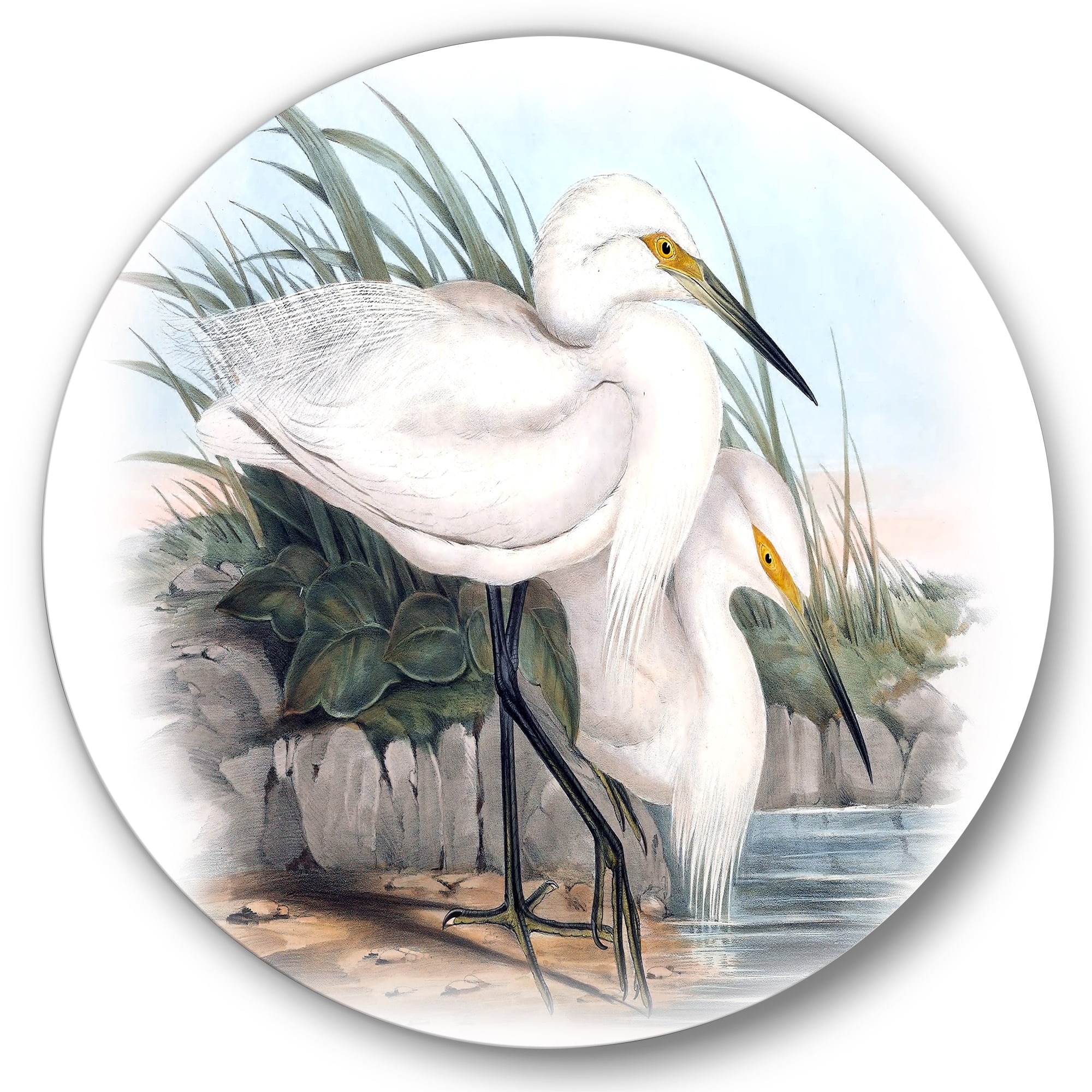 Designart 'Ancient Bird Life I' Traditional Circle Metal Wall Art 11x11 - Disc of 11