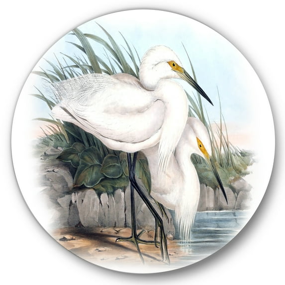 Designart 'Ancient Bird Life I' Traditional Circle Metal Wall Art 11x11 - Disc of 11