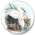 thumbnail image 1 of Designart 'Ancient Bird Life I' Traditional Circle Metal Wall Art 29x29 - Disc of 29, 1 of 5