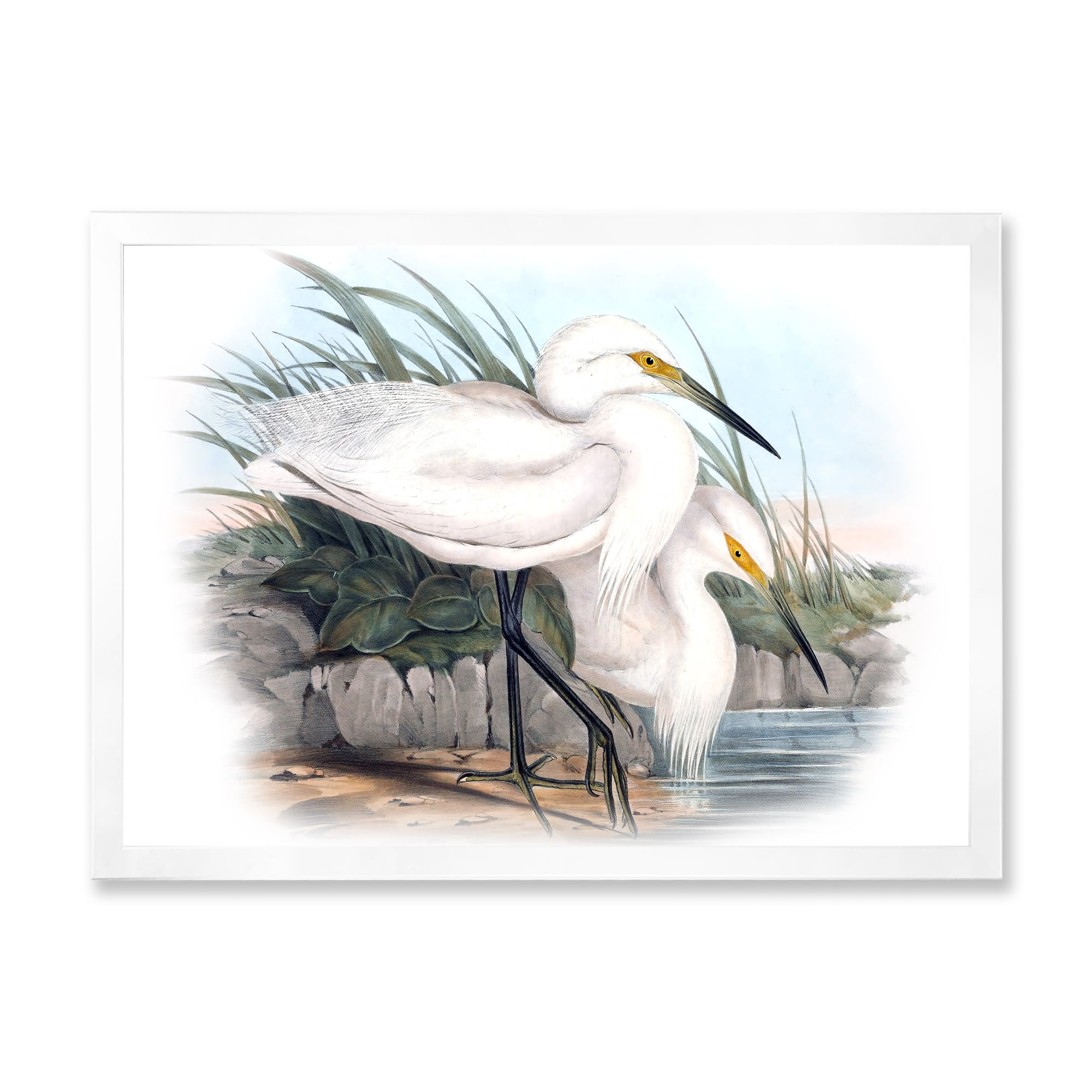 Designart 'Ancient Bird Life I' Traditional Framed Art Print