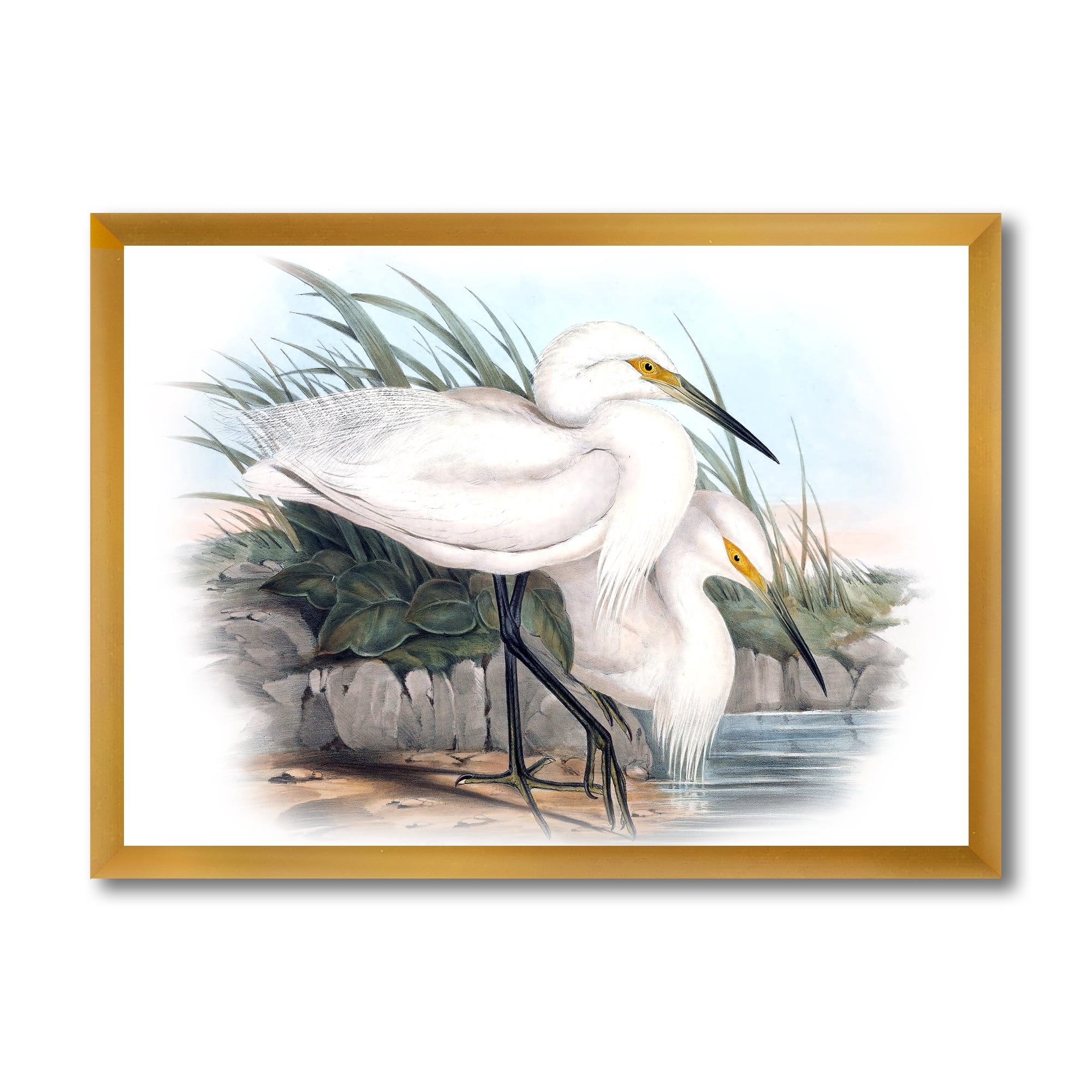 Designart 'Ancient Bird Life I' Traditional Framed Art Print