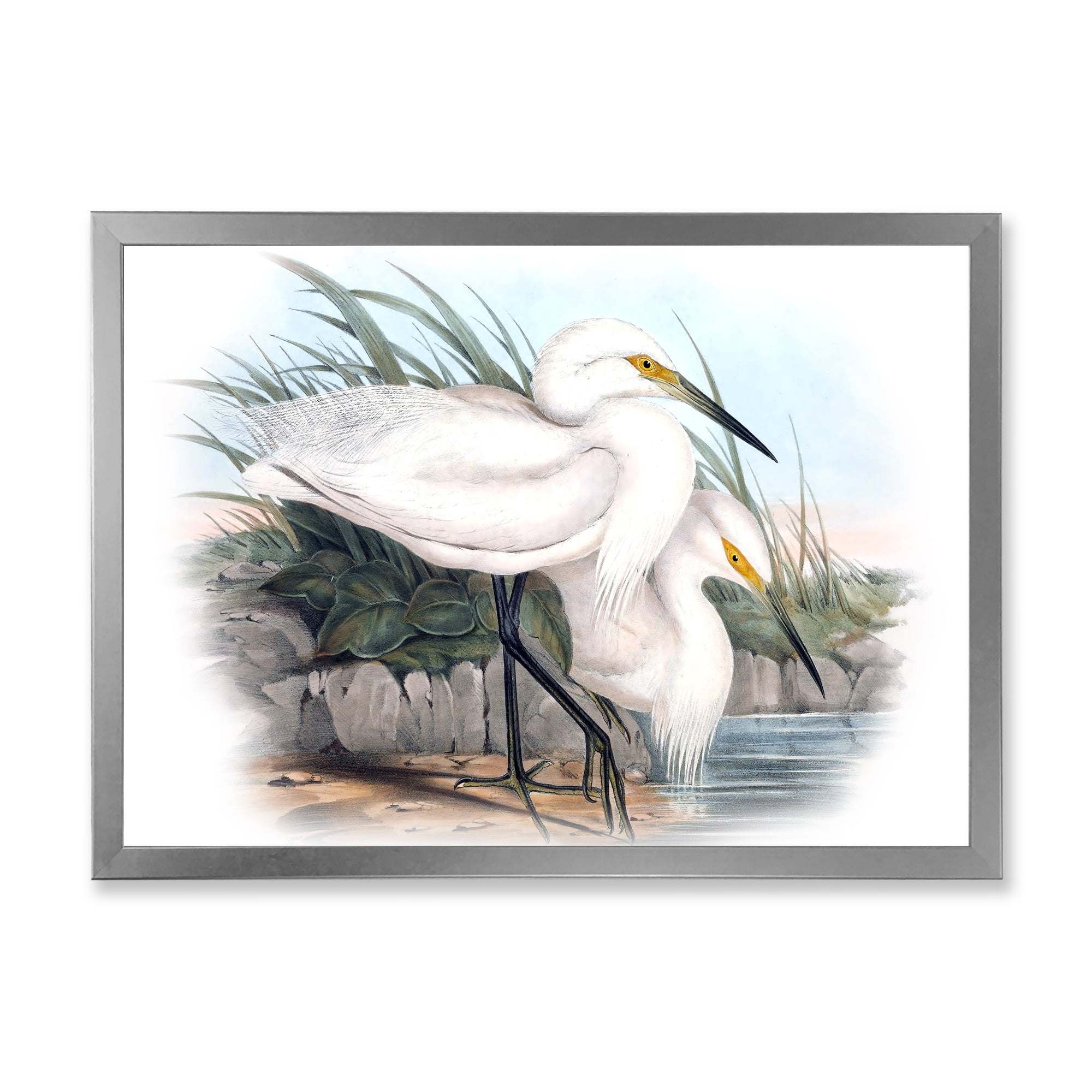 Designart 'Ancient Bird Life I' Traditional Framed Art Print