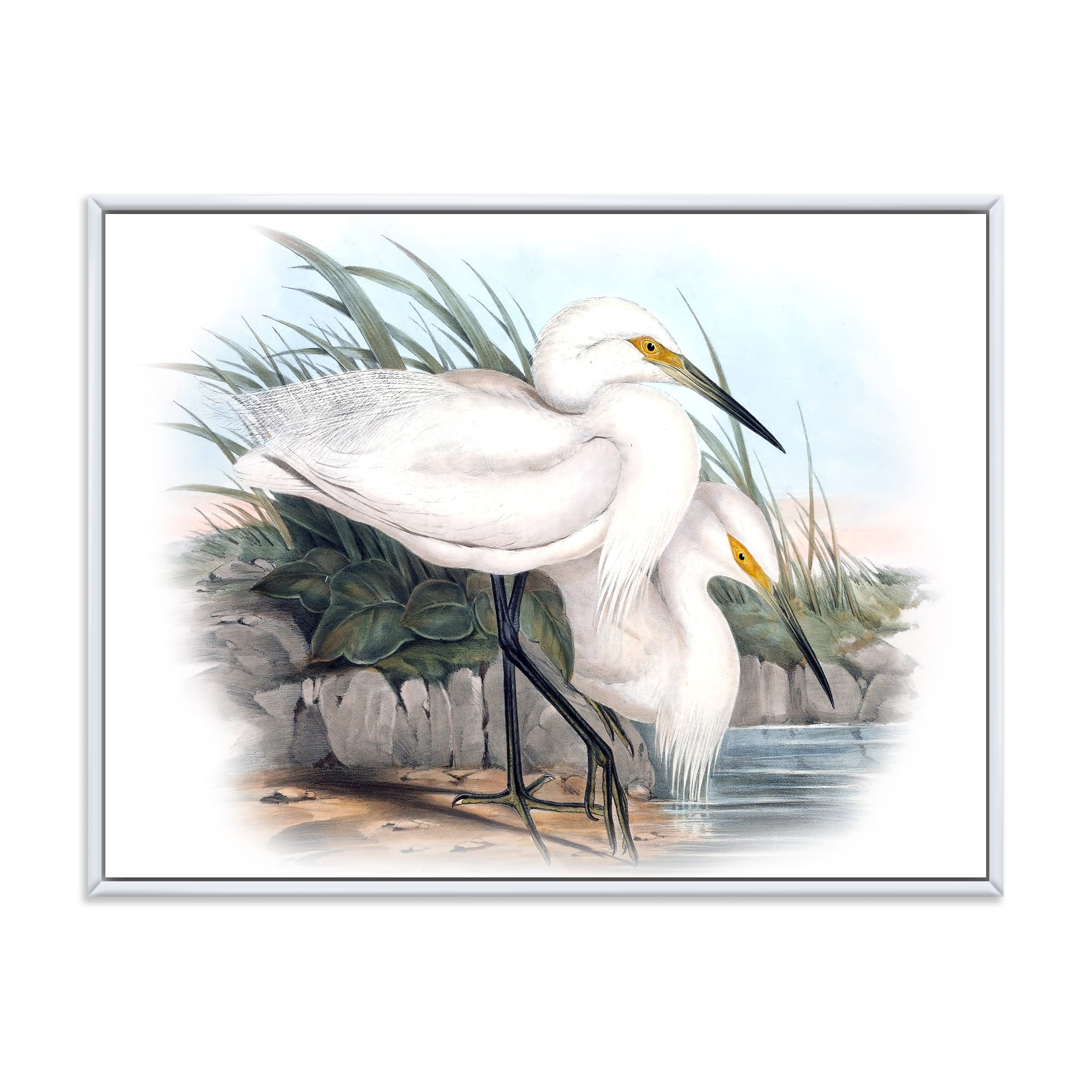 Designart 'Ancient Bird Life I' Traditional Framed Canvas Wall Art Print