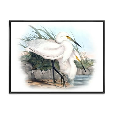 Designart 'Ancient Bird Life I' Traditional Framed Canvas Wall Art Print