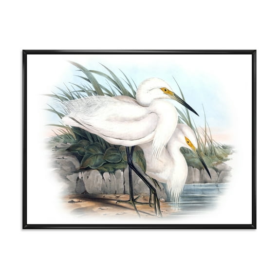 Designart 'Ancient Bird Life I' Traditional Framed Canvas Wall Art Print