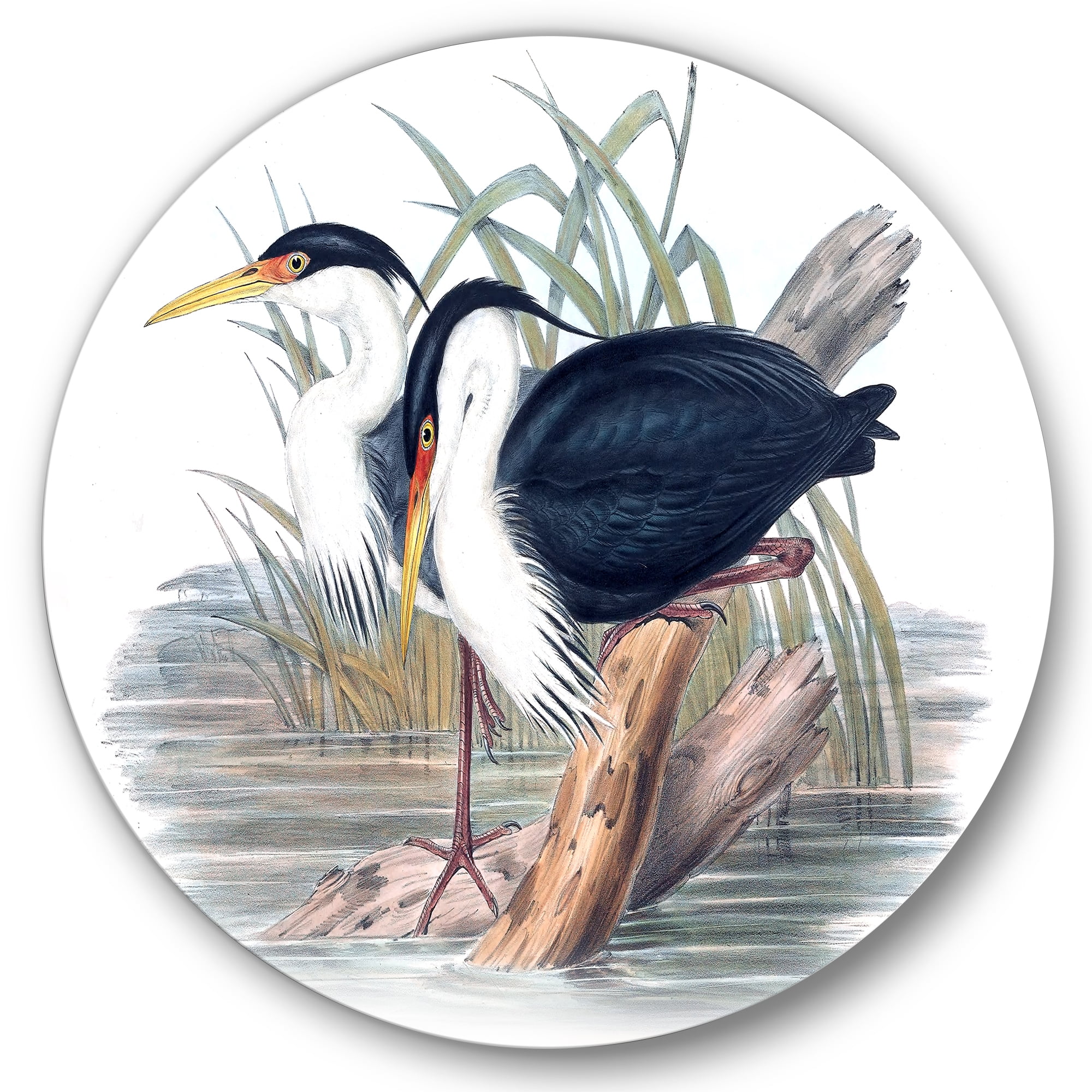 Designart 'Ancient Bird Life II' Traditional Circle Metal Wall Art 23x23 - Disc of 23